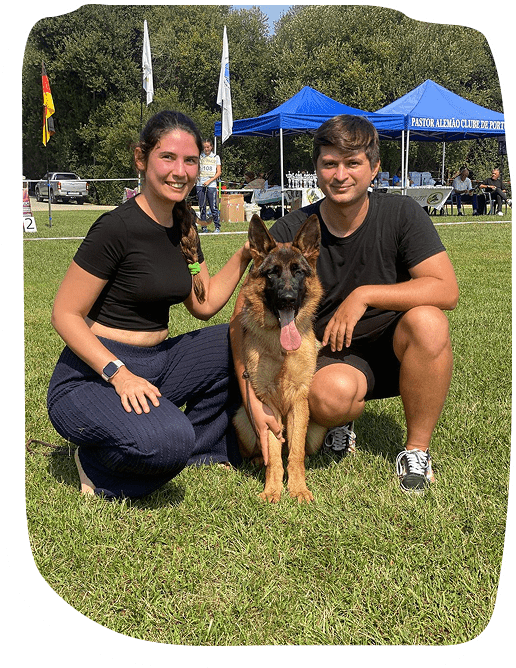 Dog Waste Removal Near Me